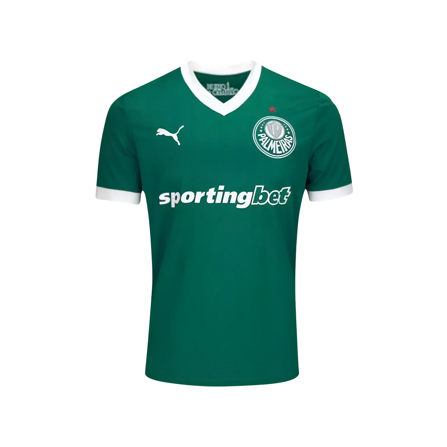 Camiseta Palmeiras 25/26 Local