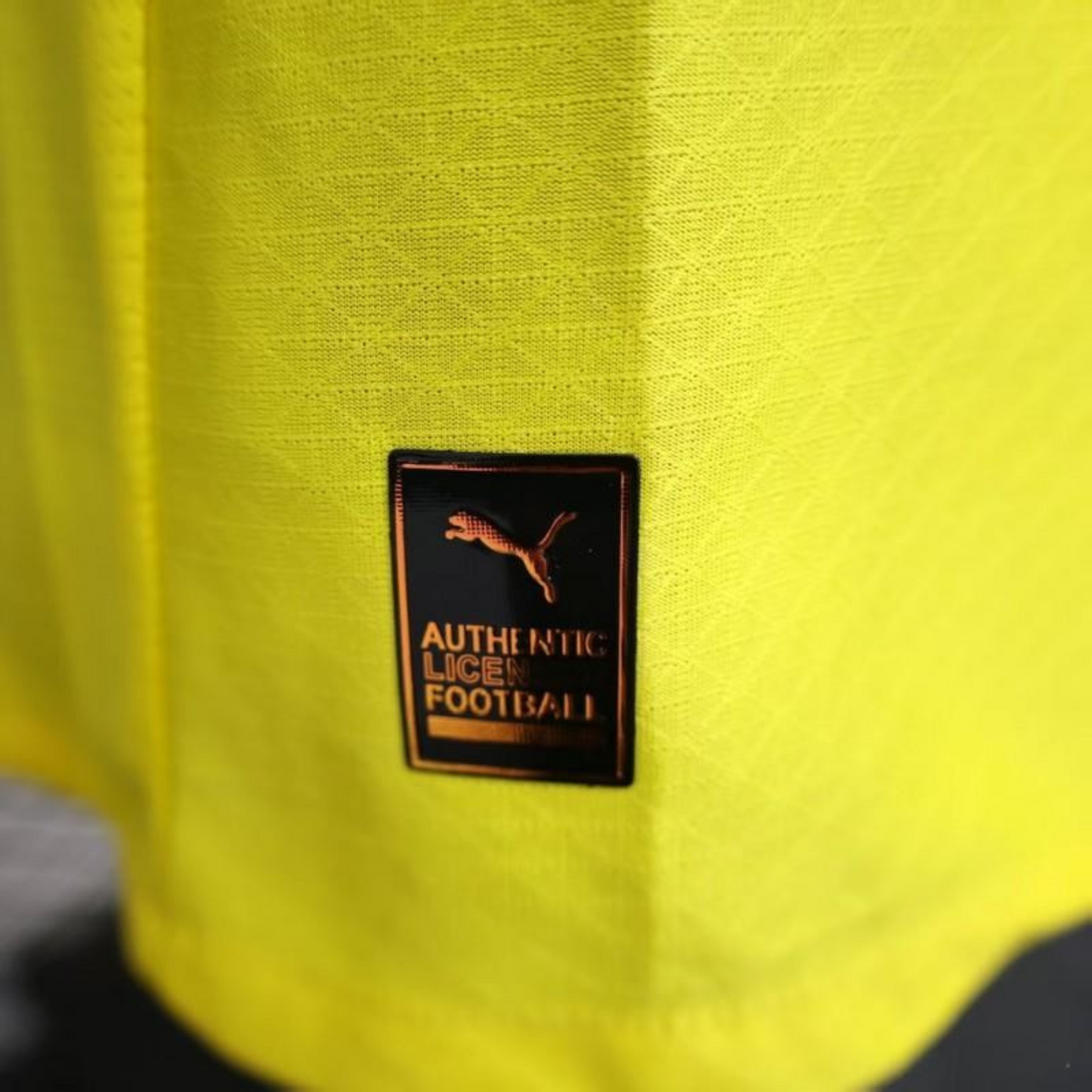 Camiseta Borussia Dortmund 25/26 Local