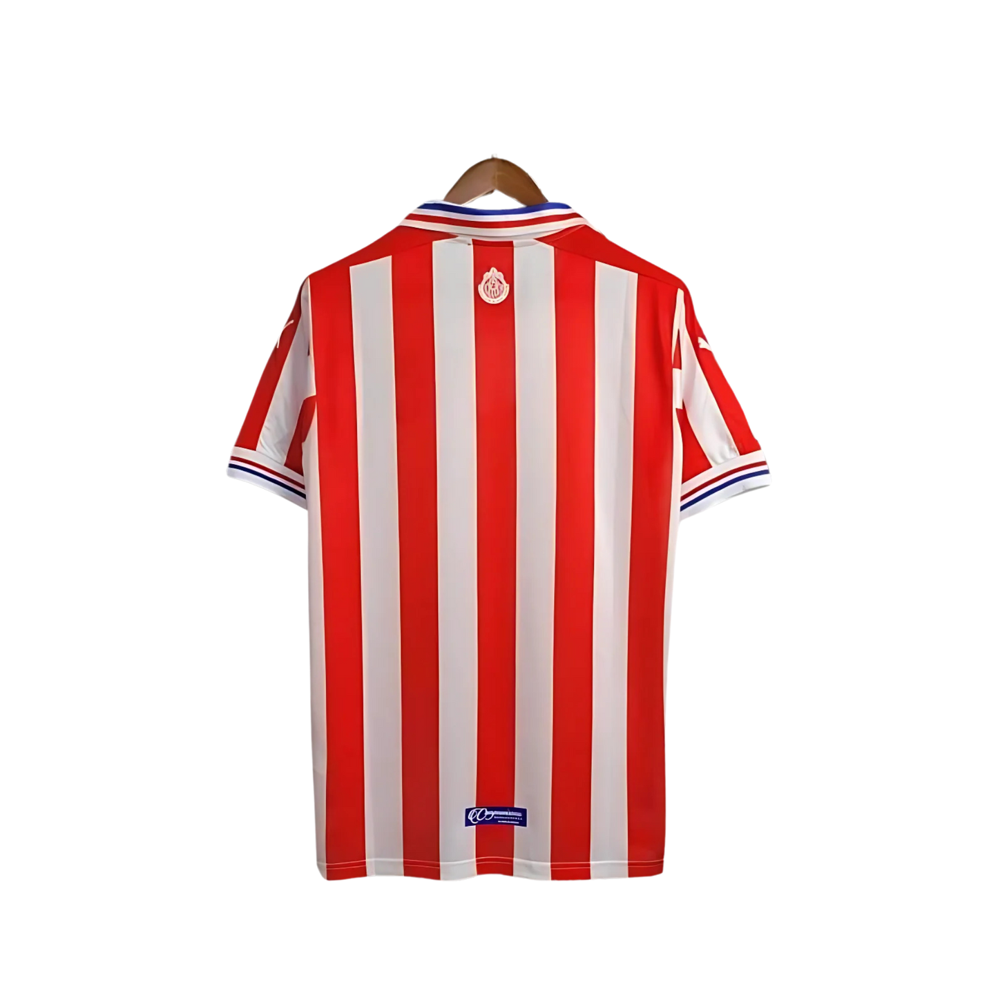 Camiseta Retro CD Chivas 110 Aniversario
