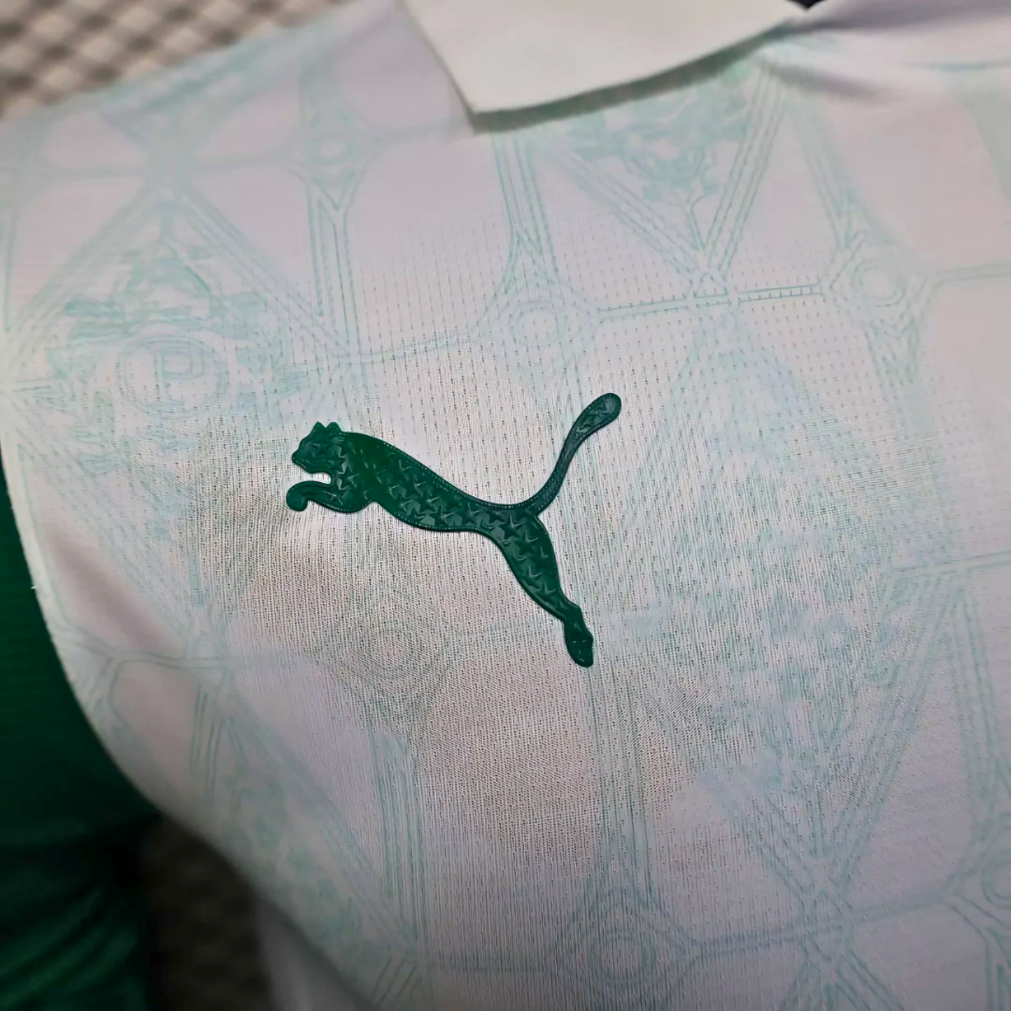 Camiseta Palmeiras 25/26 Visita