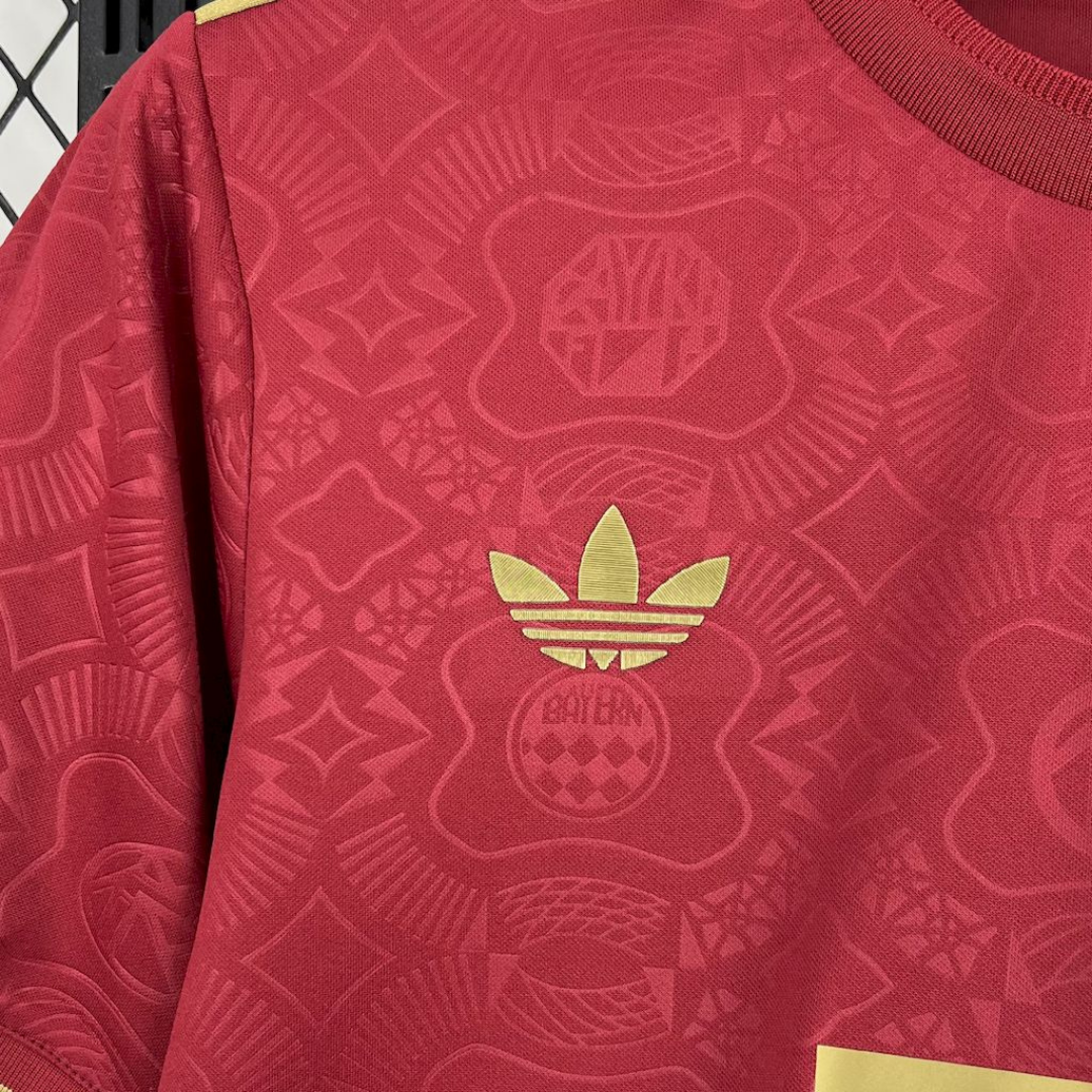 Camiseta Bayern Munich 24/25 Edición 125 Aniversario (Roja)