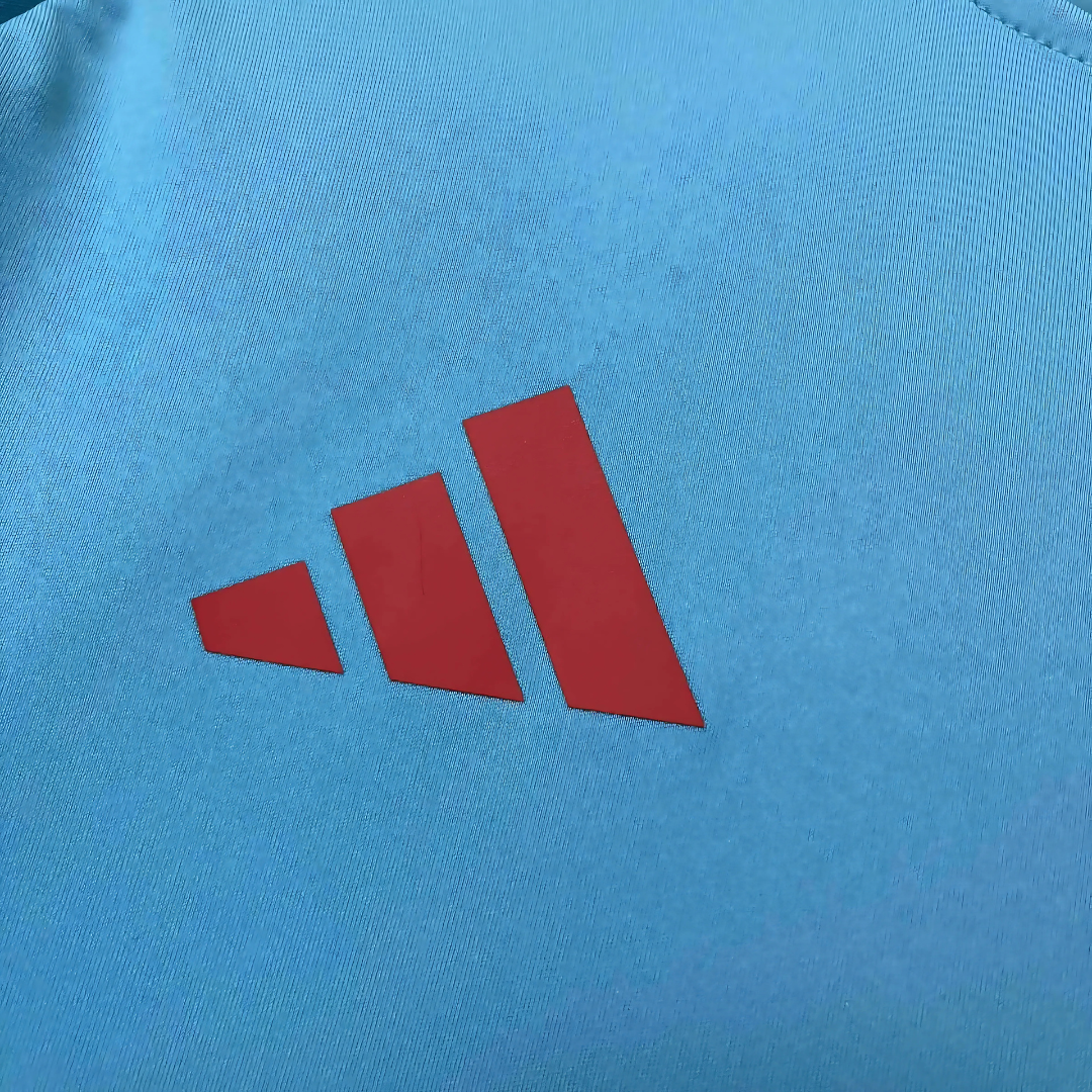 Camiseta de Entrenamiento Flamengo FC 2025/26 Azul