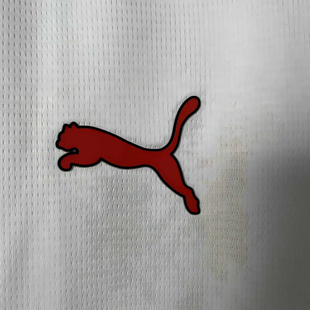 Camiseta AC Milán 25/26 Visita