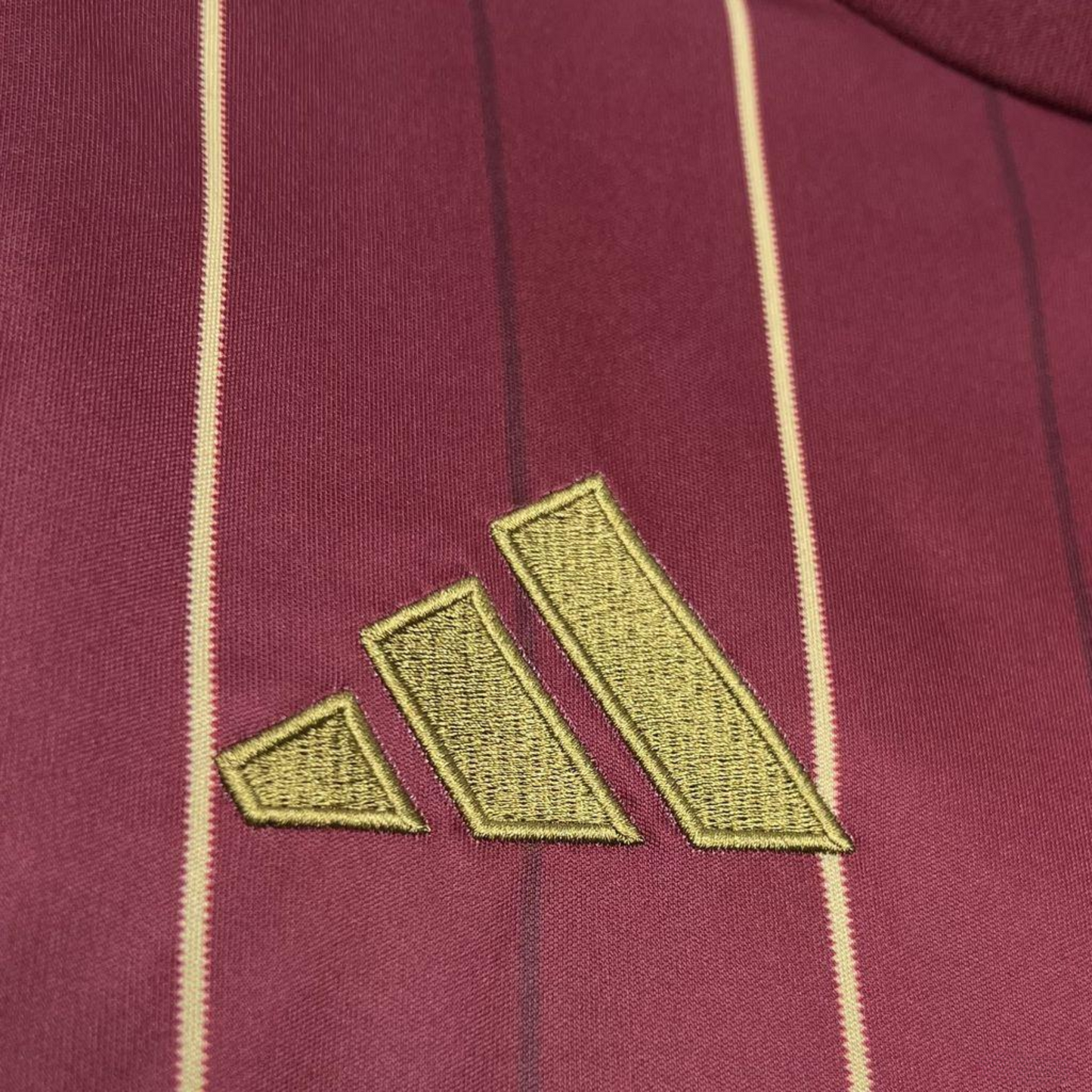 Camiseta AS Roma 24/25 Local