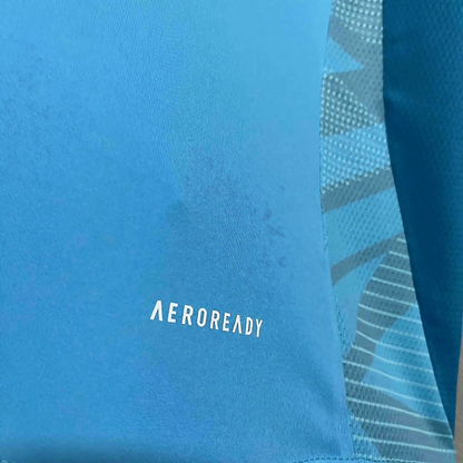 Camiseta de Entrenamiento Flamengo FC 2025/26 Azul