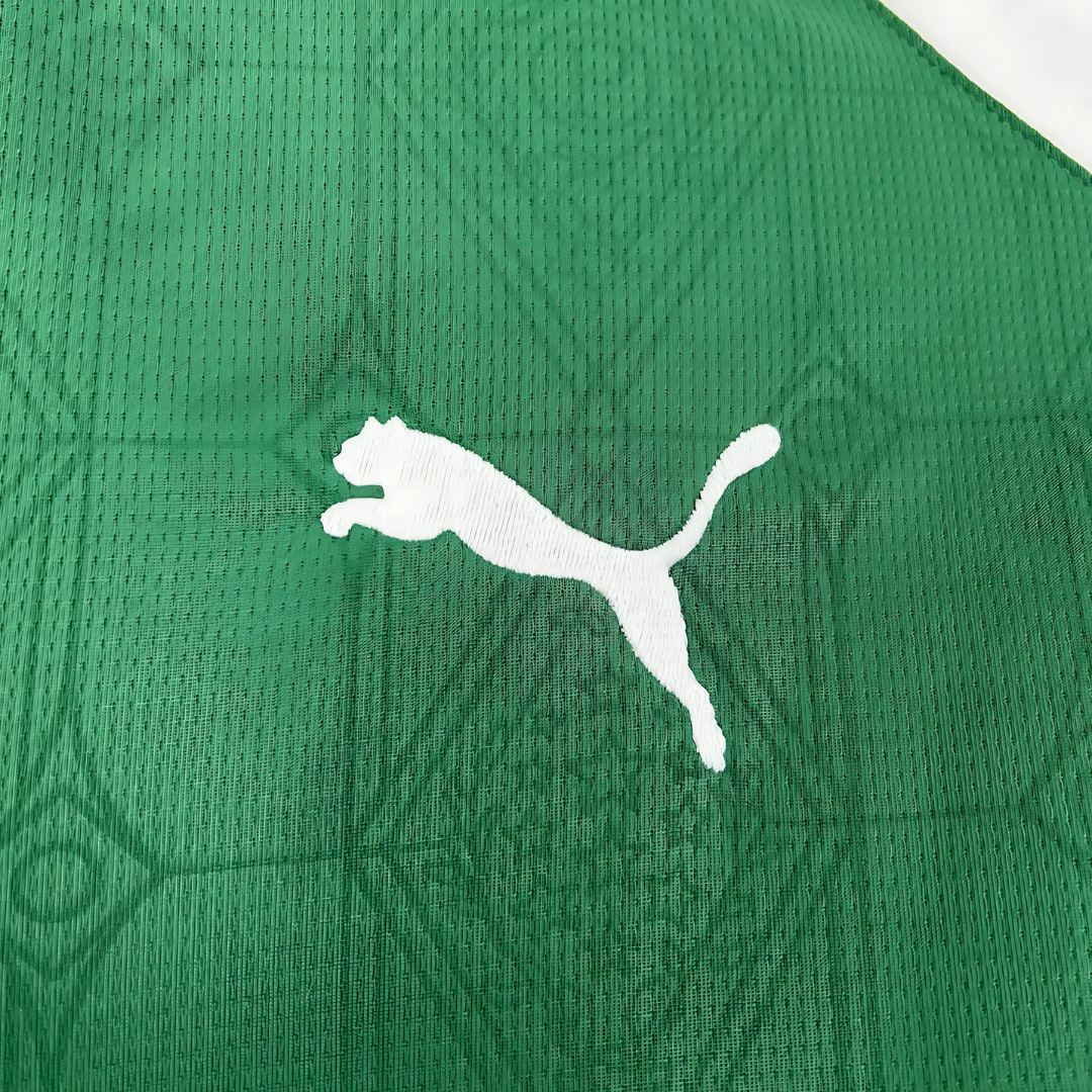 Camiseta Palmeiras 25/26 Local