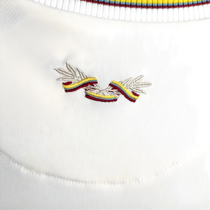 Camiseta Colombia 2024 Edición Especial 100 Aniversario