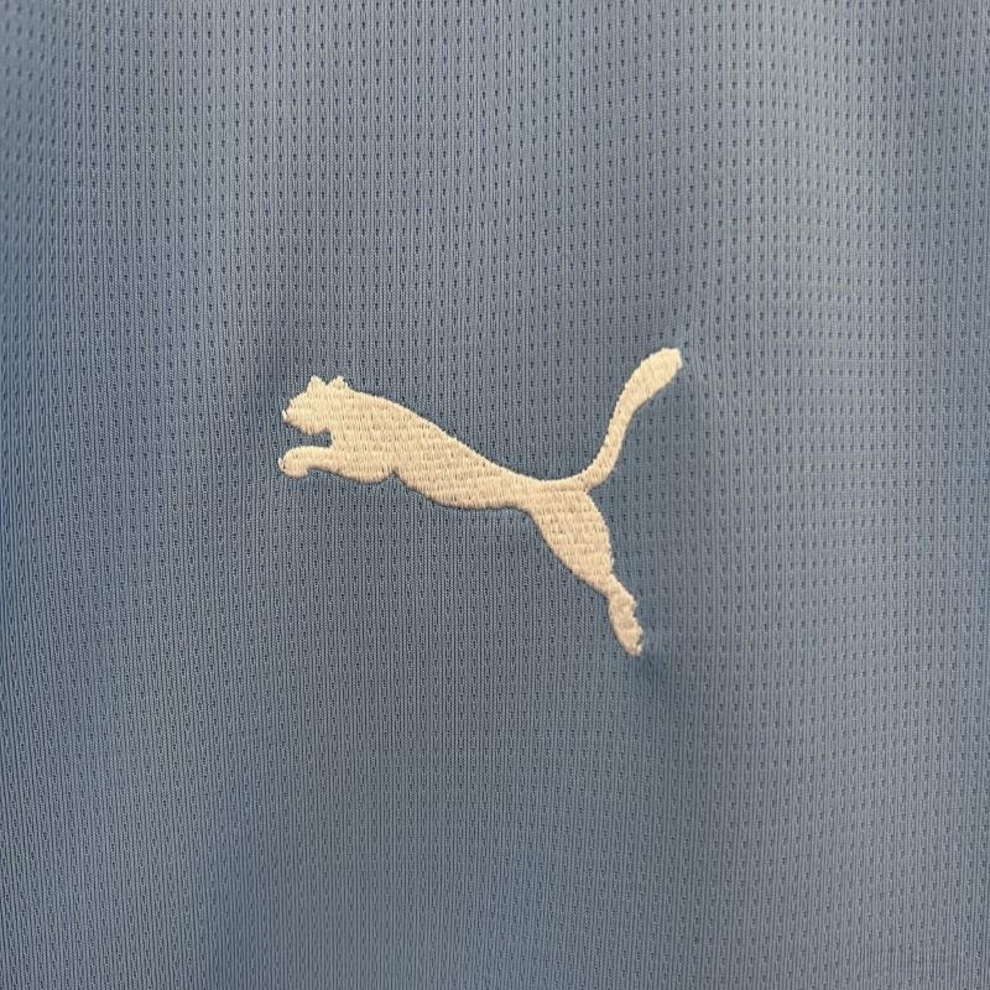 Camiseta Manchester City 24/25 Local